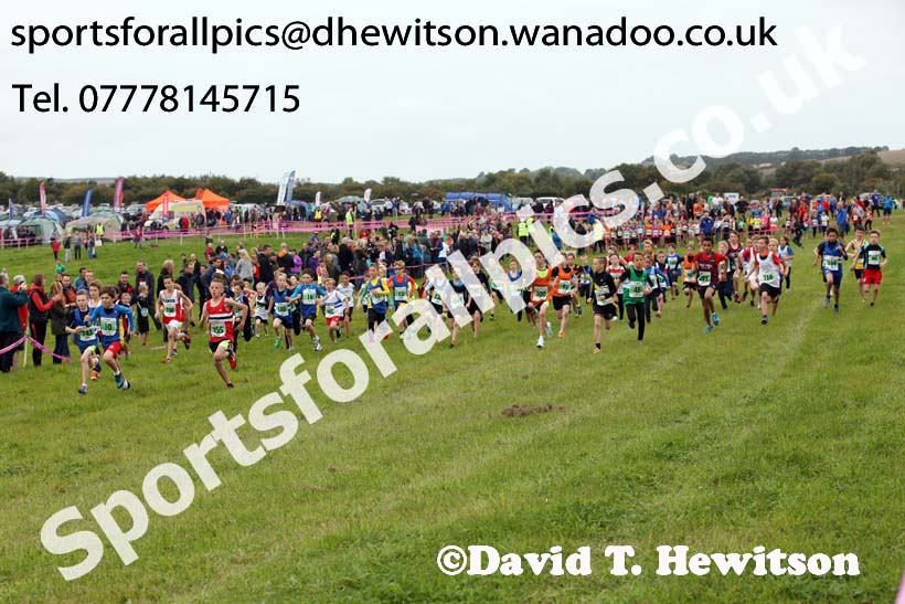 Boys under-11s, Start Fitness North Eastern Harrier League, Tanfield, County Durham. Photo: David T. Hewitson/Sports for All Pics